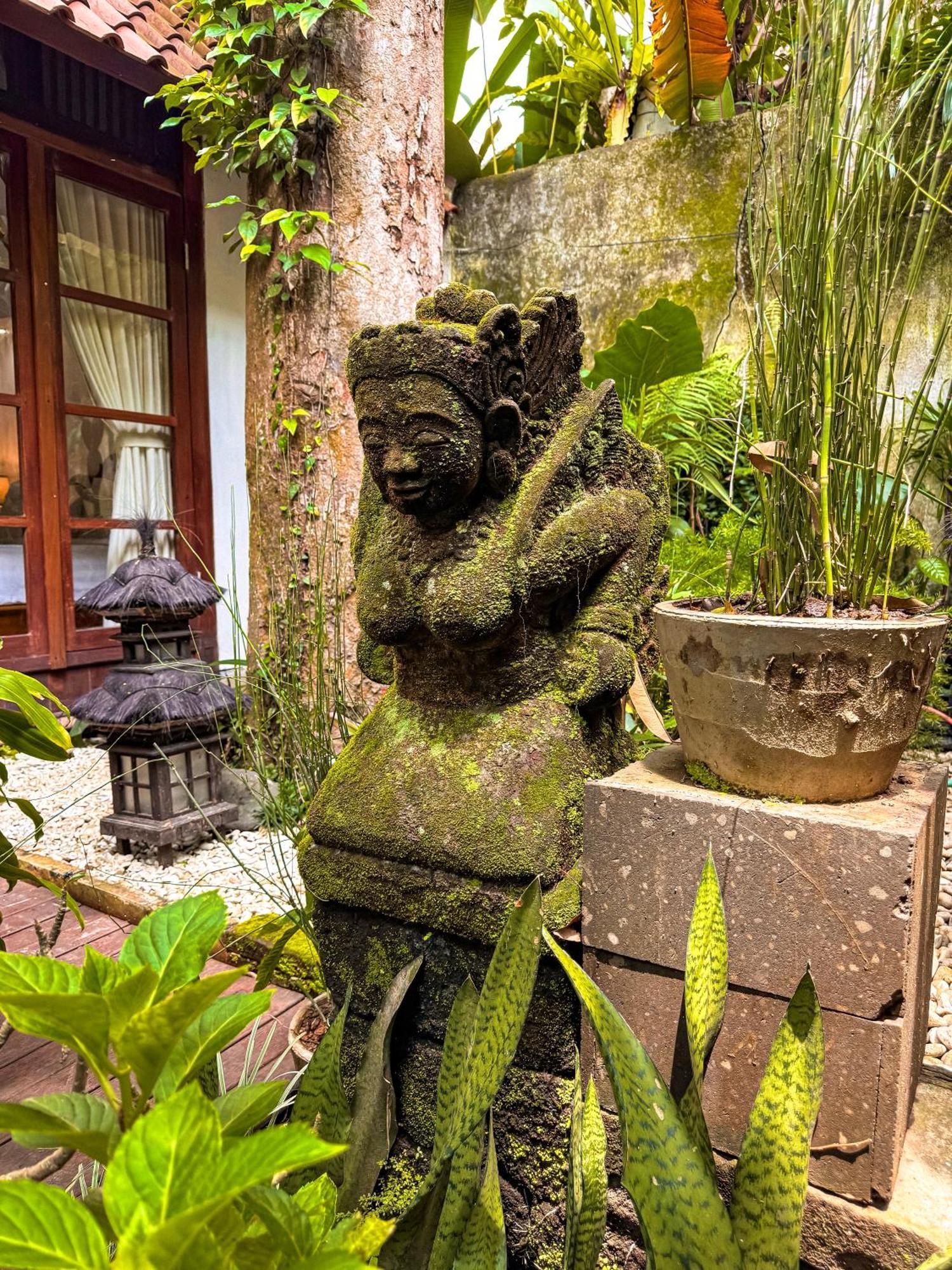 Bali Maison Ubud Eksteriør billede